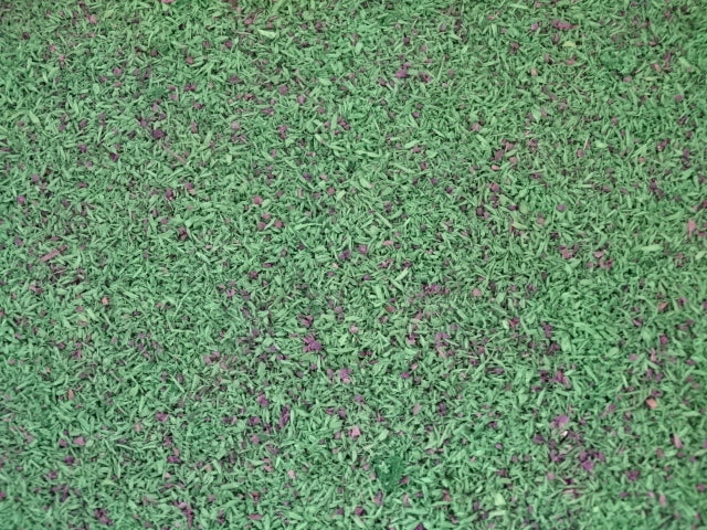 Fine Scenery Scatter Material – Multiple Ground-Cover Colours